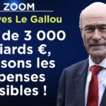 Parasitisme, clientélisme… Haro sur les dépenses nuisibles ! – Le Zoom – Jean-Yves Le Gallou – TVL