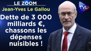 Parasitisme, clientélisme… Haro sur les dépenses nuisibles ! – Le Zoom – Jean-Yves Le Gallou – TVL