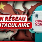 Taïwan cible le réseau de trafic d’organes du Parti communiste chinois