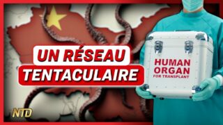 Taïwan cible le réseau de trafic d’organes du Parti communiste chinois