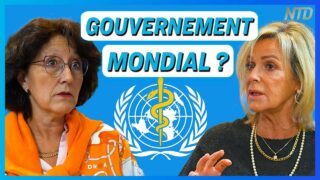 Agenda de l’ONU : « Ils veulent le contrôle mondial ! » – Une docteure et une juriste