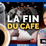 Café : le tabou empoisonné – entre effets secondaires et pesticides – Avec Marielsa