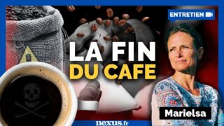 Café : le tabou empoisonné – entre effets secondaires et pesticides – Avec Marielsa