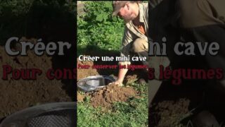 Créer une mini cave pour les légumes #permaculture