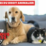 Le droit et les animaux