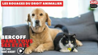 Le droit et les animaux