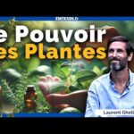 Le pouvoir des plantes et leur bienfaits raconté par Laurent Gheller