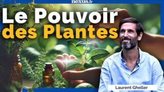 Le pouvoir des plantes et leur bienfaits raconté par Laurent Gheller