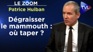 Casse sociale ou purge de l’Etat profond ? – Le Zoom – Patrice Huiban – TVL