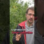 La Forêt Comestible arrive en force !  #jardin #forêt #agriculture