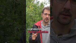 La Forêt Comestible arrive en force !  #jardin #forêt #agriculture