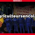 LIVE – Répression policière des agriculteurs ?