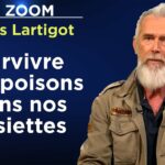 Survivre aux poisons dans nos assiettes – Le Zoom – Gilles Lartigot – TVL