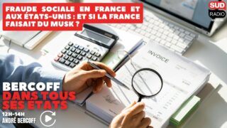 Fraude sociale en France et aux États-Unis : et si la France faisait du Musk ?