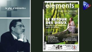 Le retour des dieux ou comment réenchanter le monde – Le Plus d’Eléments – TVL