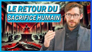 « Le sacrifice n’a pas disparu, il a été institutionnalisé » – Sylvain Durain