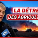 « Les agriculteurs vont arrêter, demain on va manquer de viande et de lait. » – Une agricultrice