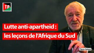 Lutte anti-apartheid : les leçons de l’Afrique du Sud