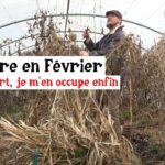 Ma serre en février : il est temps d’agir !