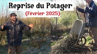 Potager en Février (semis et préparation)