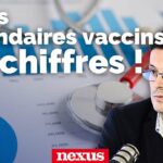 Vaccins, cancers, mortalité : que disent vraiment les chiffres ? Avec Pierre Chaillot.