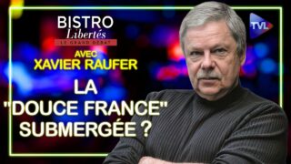 Violence, identité : la « douce France » submergée ? – Bistro Libertés avec Xavier Raufer – TVL