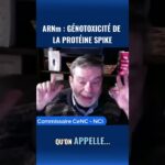 ARNm: GÉNOTOXITÉ DE LA PROTÉINE SPIKE