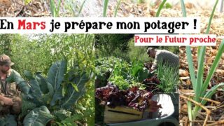 En mars, on sème et on rêve de diversité au potager !