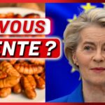 Farine d’insectes dans les aliments : Est-ce acceptable ? Les Français réagissent !