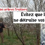 Fruitiers & Gelées Tardives (Astuces et Techniques pour Réussir)