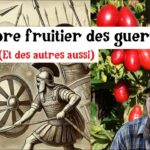 N’oubliez pas ce fruit oublié !