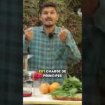 Le jus d’ortie, une bombe nutritionnelle