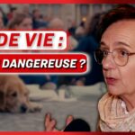 « C’est une arme de destruction massive à l’intérieur même des familles » – Une médecin