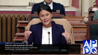 Étude des crédits budgétaires 2025 2026 du ministère de l’Économie, de l’Innovation et de l’Énergie,