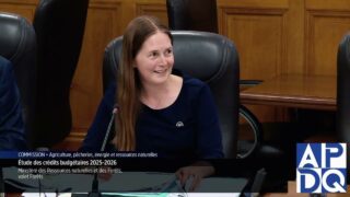 Feux de Forêt et Reboisement : La Stratégie du Gouvernement