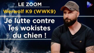 « L’Art du dressage : éduquer sans trahir la nature du chien » – Le Zoom – Werwolf K9 (WWK9) – TVL