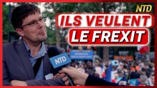 « L’Europe est l’homme malade du monde »  – Pierre-Yves Rougeyron