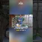 L’importance du nettoyage du foie au quotidien