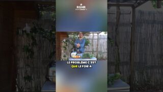L’importance du nettoyage du foie au quotidien
