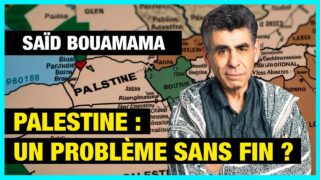 Palestine : un problème sans fin ? – Saïd Bouamama #gaza #palestine