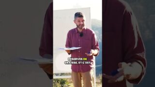 Que se passe t-il quand on jeûne à sec (sans apport de liquide) ?