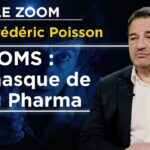 Traité sur les pandémies de l’OMS : vers un risque totalitaire ? – Le Zoom – Jean-Frédéric Poisson