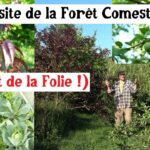 Visite de la Forêt Comestible… (2025 c’est de la Folie !)
