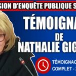 Commission d’enquête SAAQclic Témoignage de Nathalie Giguère