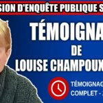 Commission d’enquête SAAQclic : Témoignage de Louise Champoux Paillé
