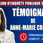 Commission d’enquête SAAQclic : Témoignage de Anne-Marie Croteau
