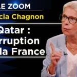 Frères musulmans : infiltration au sommet – Le Zoom – Patricia Chagnon – TVL