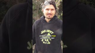 La phase 1 de détoxification du foie