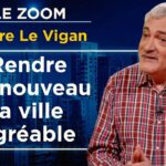 La ville, cauchemar des Français – Le Zoom – Pierre Le Vigan – TVL