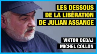 Les dessous de la libération de Julian Assange – Michel Collon interviewe Viktor Dedaj – Forum n°4